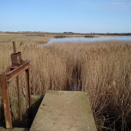 Domaine Des 3 Cepages פורטירנייה